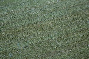 17mm Coir matting - Green - 33cm x 60 cm