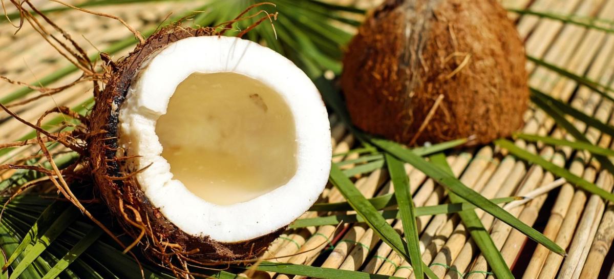 From a Palm tree to Your Porch: The Full Story Behind Your Coconut Mat