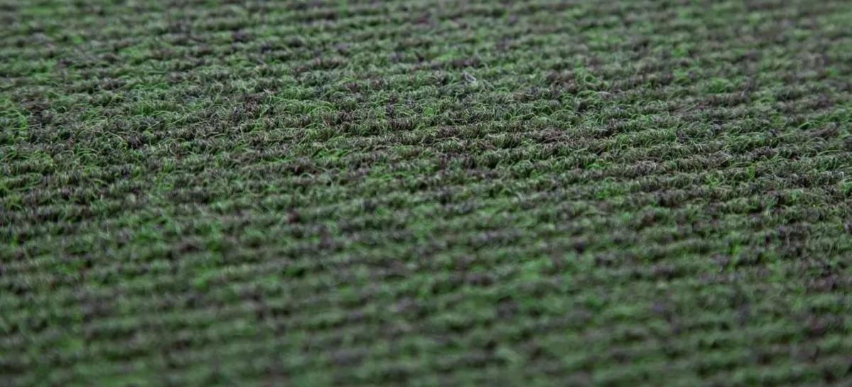 Why Coconut Mats Are Great for Allergy-Prone Homes
