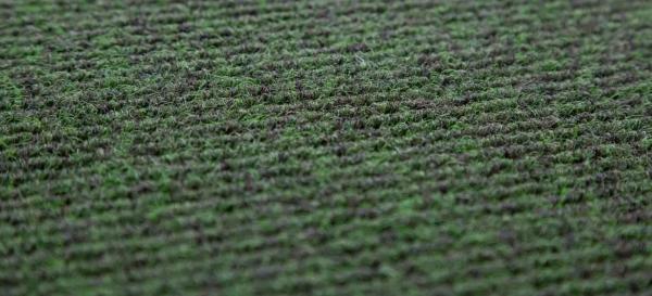Why Coconut Mats Are Great for Allergy-Prone Homes