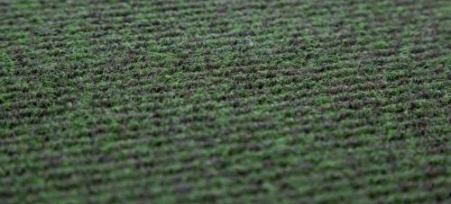 Using Coconut Matting in Conservatories and Garden Rooms