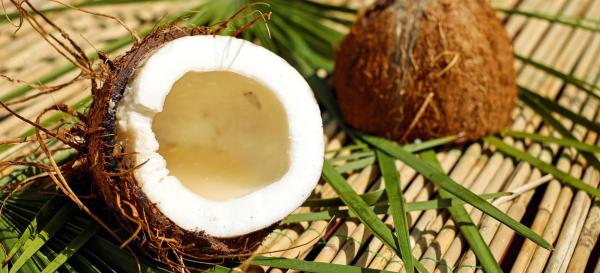 From a Palm tree to Your Porch: The Full Story Behind Your Coconut Mat